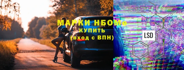стафф Арсеньев