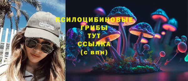 ПСИЛОЦИБИНОВЫЕ ГРИБЫ Нязепетровск