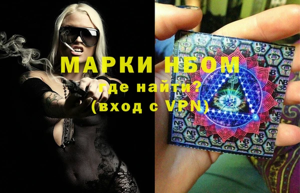 прущие грибы Армянск