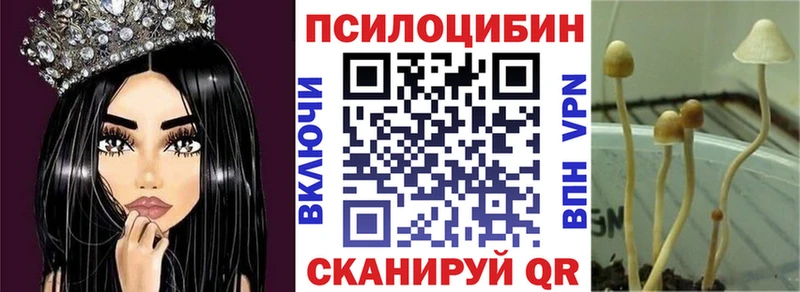 Псилоцибиновые грибы Cubensis  Великий Устюг 
